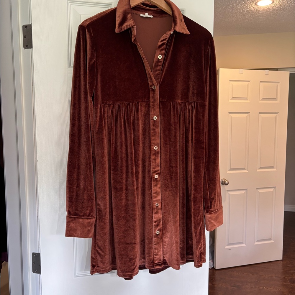 Maternity Velvet Button-Up Dress in Rich Brown